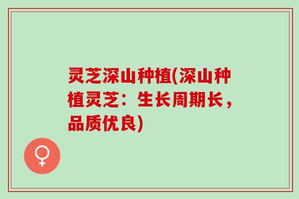 灵芝深山种植(深山种植灵芝：生长周期长，品质优良)