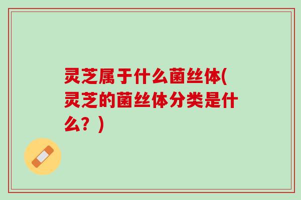 灵芝属于什么菌丝体(灵芝的菌丝体分类是什么？)