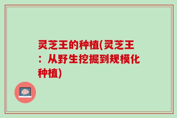 灵芝王的种植(灵芝王：从野生挖掘到规模化种植)