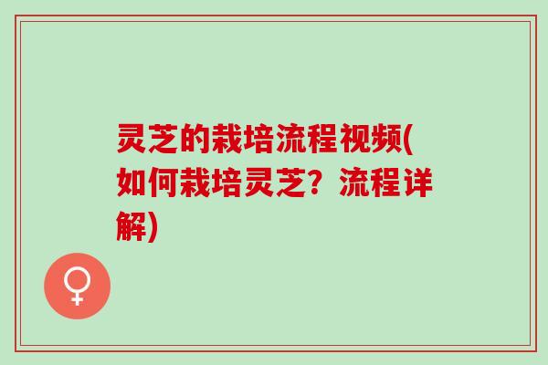 灵芝的栽培流程视频(如何栽培灵芝？流程详解)