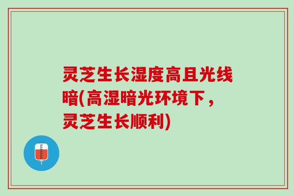 灵芝生长湿度高且光线暗(高湿暗光环境下，灵芝生长顺利)