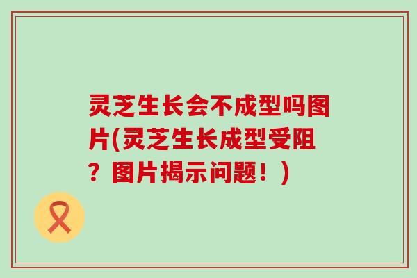 灵芝生长会不成型吗图片(灵芝生长成型受阻？图片揭示问题！)