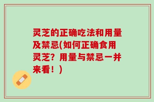 灵芝的正确吃法和用量及禁忌(如何正确食用灵芝？用量与禁忌一并来看！)