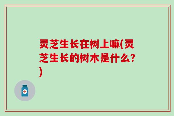 灵芝生长在树上嘛(灵芝生长的树木是什么？)