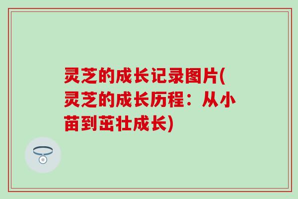 灵芝的成长记录图片(灵芝的成长历程：从小苗到茁壮成长)