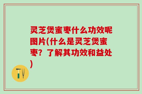 灵芝煲蜜枣什么功效呢图片(什么是灵芝煲蜜枣?了解其功效和益处) 灵芝煲蜜枣什么功效呢图片(什么是灵芝煲蜜枣?了解其功效和益处)