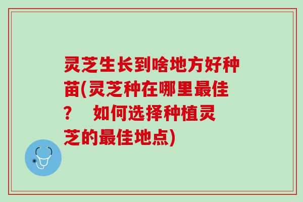 灵芝生长到啥地方好种苗(灵芝种在哪里最佳？  如何选择种植灵芝的最佳地点)