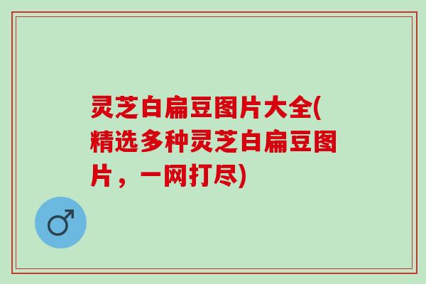 灵芝白扁豆图片大全(精选多种灵芝白扁豆图片,一网打尽) 灵芝白扁豆图片大全(精选多种灵芝白扁豆图片,一网打尽)