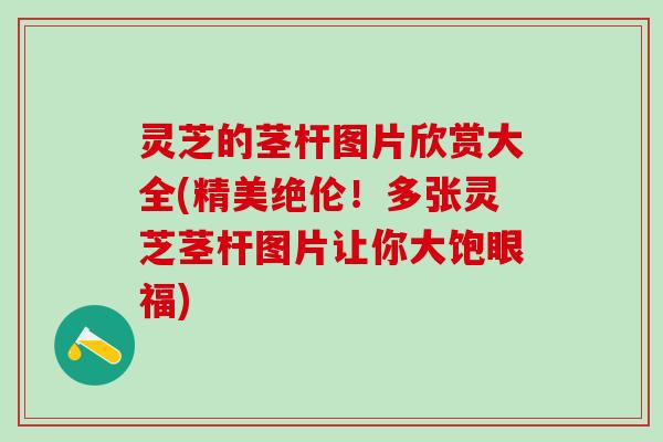 灵芝的茎杆图片欣赏大全(精美绝伦！多张灵芝茎杆图片让你大饱眼福)