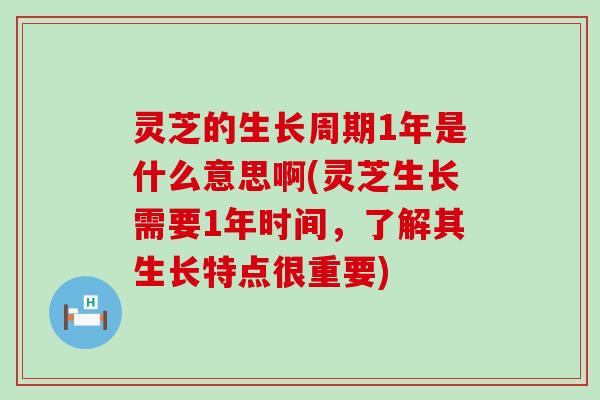灵芝的生长周期1年是什么意思啊(灵芝生长需要1年时间,了解其生长特点很重要) 灵芝的生长周期1年是什么意思啊(灵芝生长需要1年时间,了解其生长特点很重要)