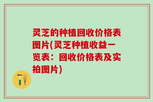 灵芝的种植回收价格表图片(灵芝种植收益一览表：回收价格表及实拍图片)