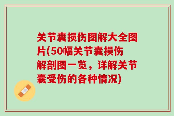 关节囊损伤图解大全图片(50幅关节囊损伤解剖图一览，详解关节囊受伤的各种情况)