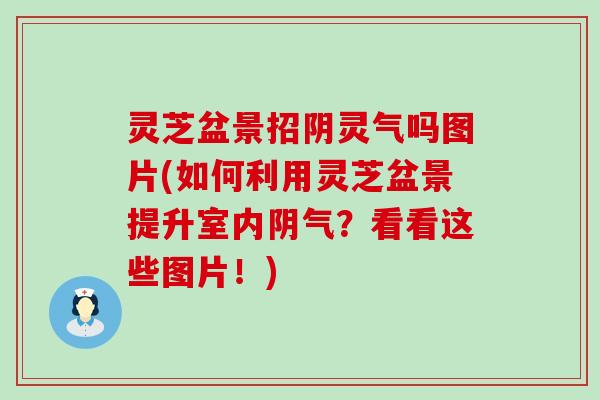 灵芝盆景招阴灵气吗图片(如何利用灵芝盆景提升室内阴气？看看这些图片！)
