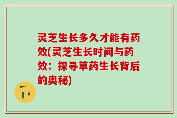 灵芝生长多久才能有药效(灵芝生长时间与药效：探寻草药生长背后的奥秘)