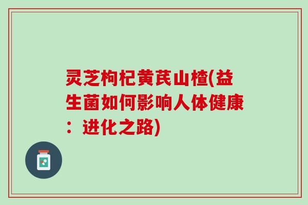 灵芝枸杞黄芪山楂(益生菌如何影响人体健康：进化之路)