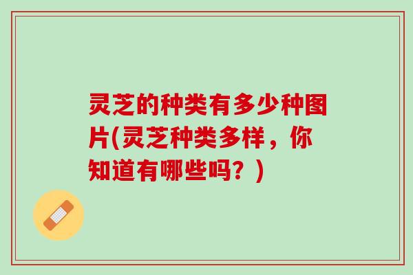 灵芝的种类有多少种图片(灵芝种类多样，你知道有哪些吗？)