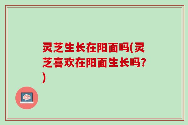 灵芝生长在阳面吗(灵芝喜欢在阳面生长吗？)