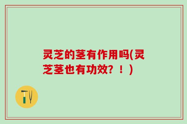 灵芝的茎有作用吗(灵芝茎也有功效？！)