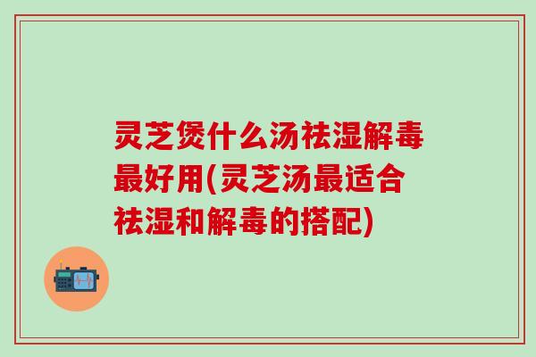 灵芝煲什么汤祛湿解毒最好用(灵芝汤最适合祛湿和解毒的搭配)