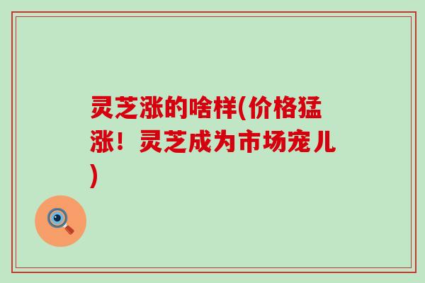 灵芝涨的啥样(价格猛涨！灵芝成为市场宠儿)