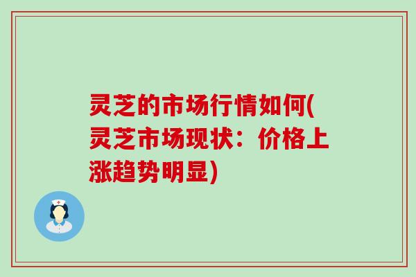 灵芝的市场行情如何(灵芝市场现状：价格上涨趋势明显)