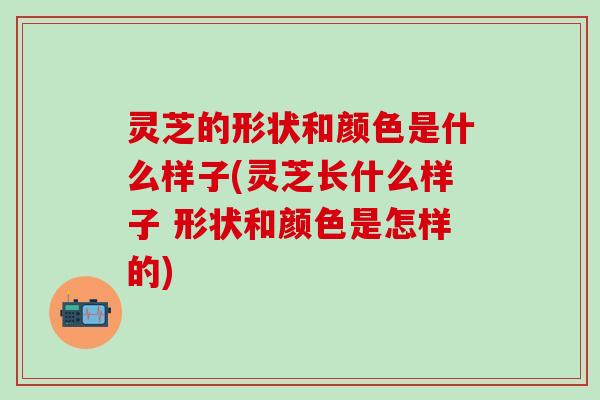 灵芝的形状和颜色是什么样子(灵芝长什么样子 形状和颜色是怎样的)