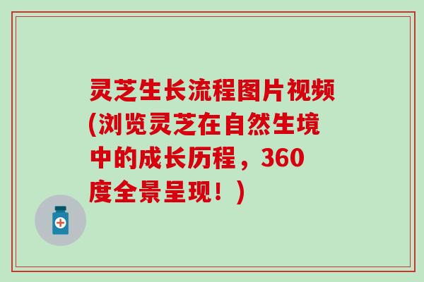 灵芝生长流程图片视频(浏览灵芝在自然生境中的成长历程，360度全景呈现！)