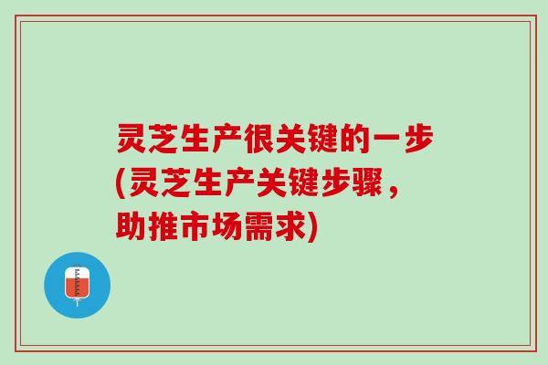 灵芝生产很关键的一步(灵芝生产关键步骤，助推市场需求)