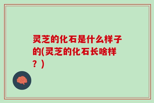 灵芝的化石是什么样子的(灵芝的化石长啥样？)