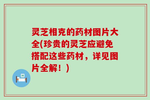 灵芝相克的药材图片大全(珍贵的灵芝应避免搭配这些药材，详见图片全解！)