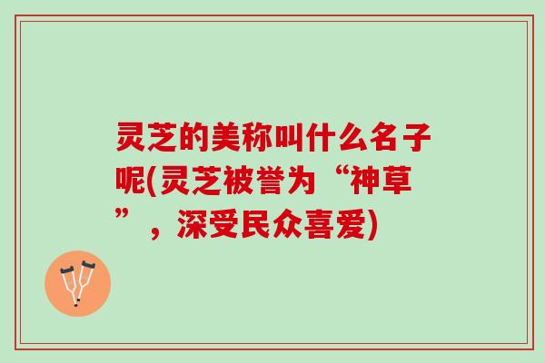 灵芝的美称叫什么名子呢(灵芝被誉为“神草”，深受民众喜爱)