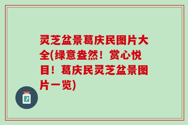 灵芝盆景葛庆民图片大全(绿意盎然！赏心悦目！葛庆民灵芝盆景图片一览)