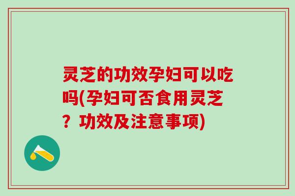 灵芝的功效孕妇可以吃吗(孕妇可否食用灵芝？功效及注意事项)