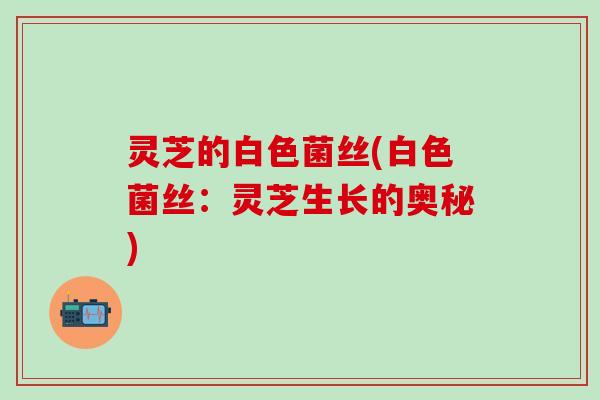 灵芝的白色菌丝(白色菌丝：灵芝生长的奥秘)