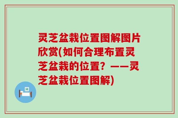 灵芝盆栽位置图解图片欣赏(如何合理布置灵芝盆栽的位置？——灵芝盆栽位置图解)