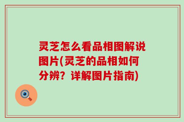 灵芝怎么看品相图解说图片(灵芝的品相如何分辨？详解图片指南)