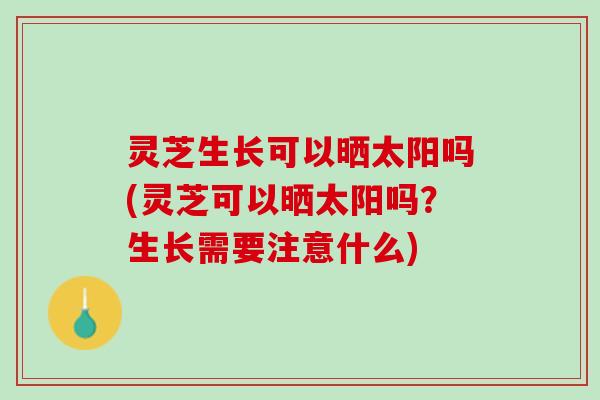 灵芝生长可以晒太阳吗(灵芝可以晒太阳吗？生长需要注意什么)