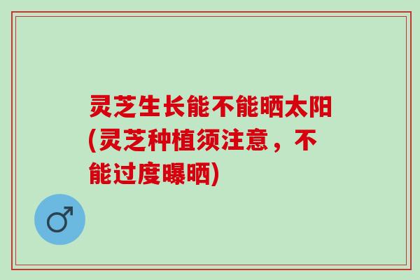 灵芝生长能不能晒太阳(灵芝种植须注意，不能过度曝晒)