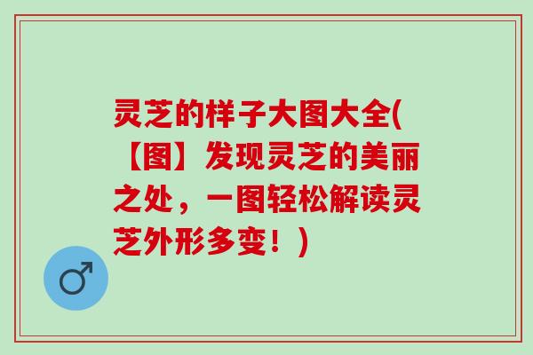 灵芝的样子大图大全(【图】发现灵芝的美丽之处，一图轻松解读灵芝外形多变！)