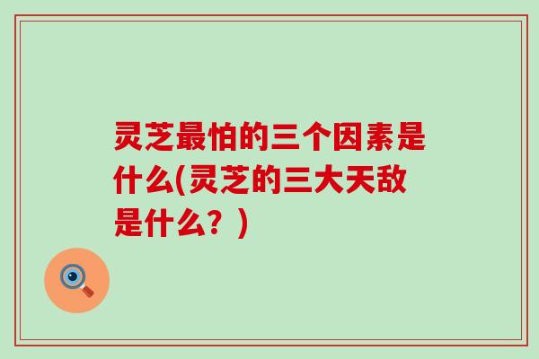 灵芝最怕的三个因素是什么(灵芝的三大天敌是什么？)