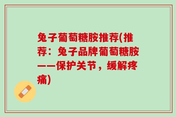 兔子葡萄糖胺推荐(推荐：兔子品牌葡萄糖胺——保护关节，缓解疼痛)