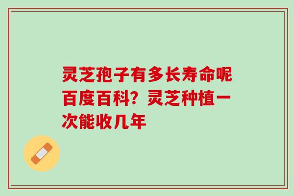 灵芝孢子有多长寿命呢百度百科？灵芝种植一次能收几年