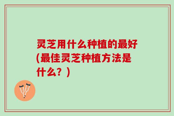 灵芝用什么种植的最好(最佳灵芝种植方法是什么？)