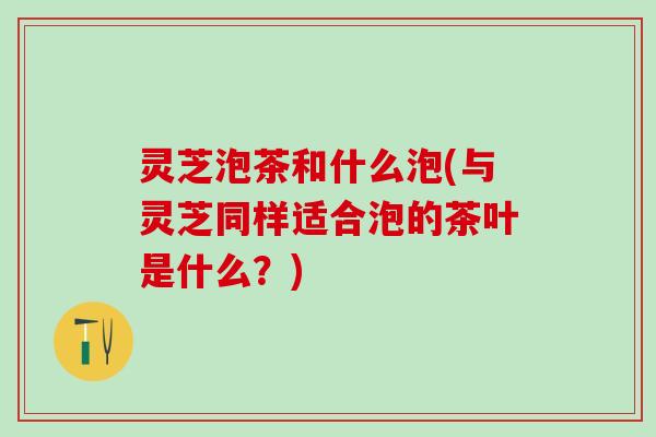 灵芝泡茶和什么泡(与灵芝同样适合泡的茶叶是什么？)