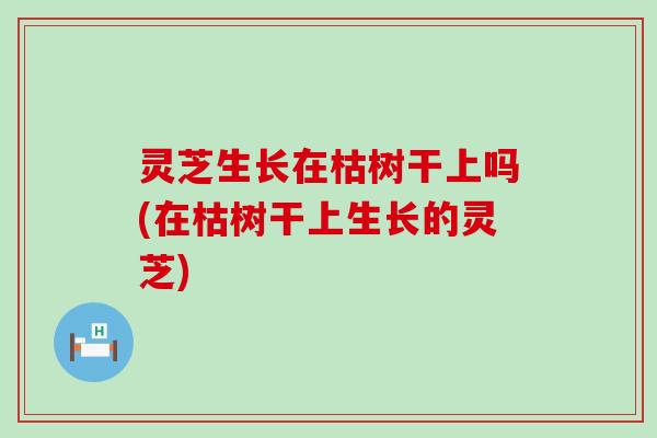 灵芝生长在枯树干上吗(在枯树干上生长的灵芝)