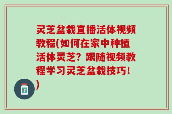 灵芝盆栽直播活体视频教程(如何在家中种植活体灵芝？跟随视频教程学习灵芝盆栽技巧！)