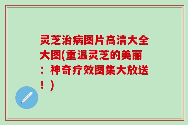 灵芝治病图片高清大全大图(重温灵芝的美丽：神奇疗效图集大放送！)