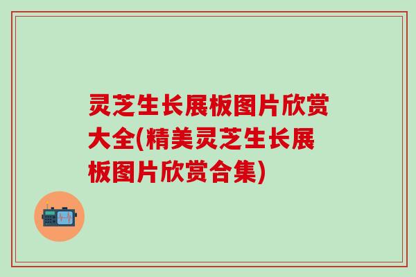 灵芝生长展板图片欣赏大全(精美灵芝生长展板图片欣赏合集)