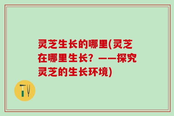 灵芝生长的哪里(灵芝在哪里生长？——探究灵芝的生长环境)