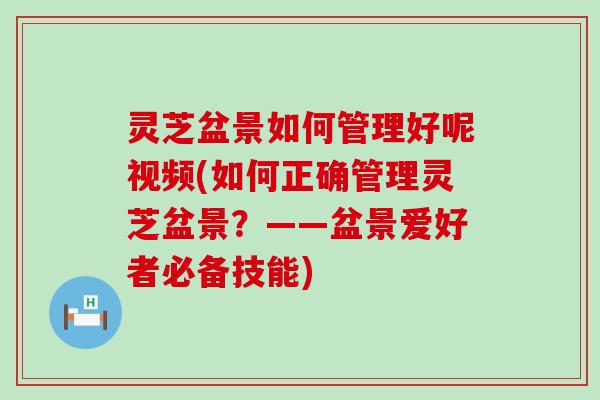 灵芝盆景如何管理好呢视频(如何正确管理灵芝盆景？——盆景爱好者必备技能)